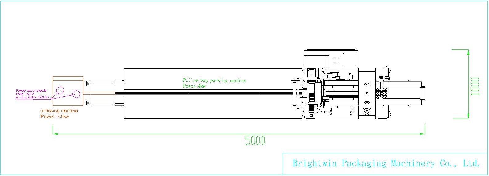 https://www.brightwingroup.com/brightwin-dishwasher-laundry-block-cube-pressing-and-pillow-bag-packing-machine-line.html